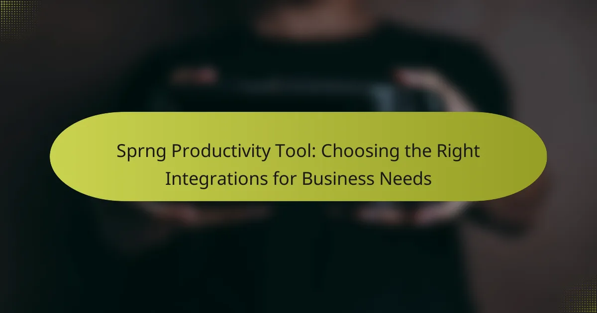 Sprng Productivity Tool: Choosing the Right Integrations for Business Needs