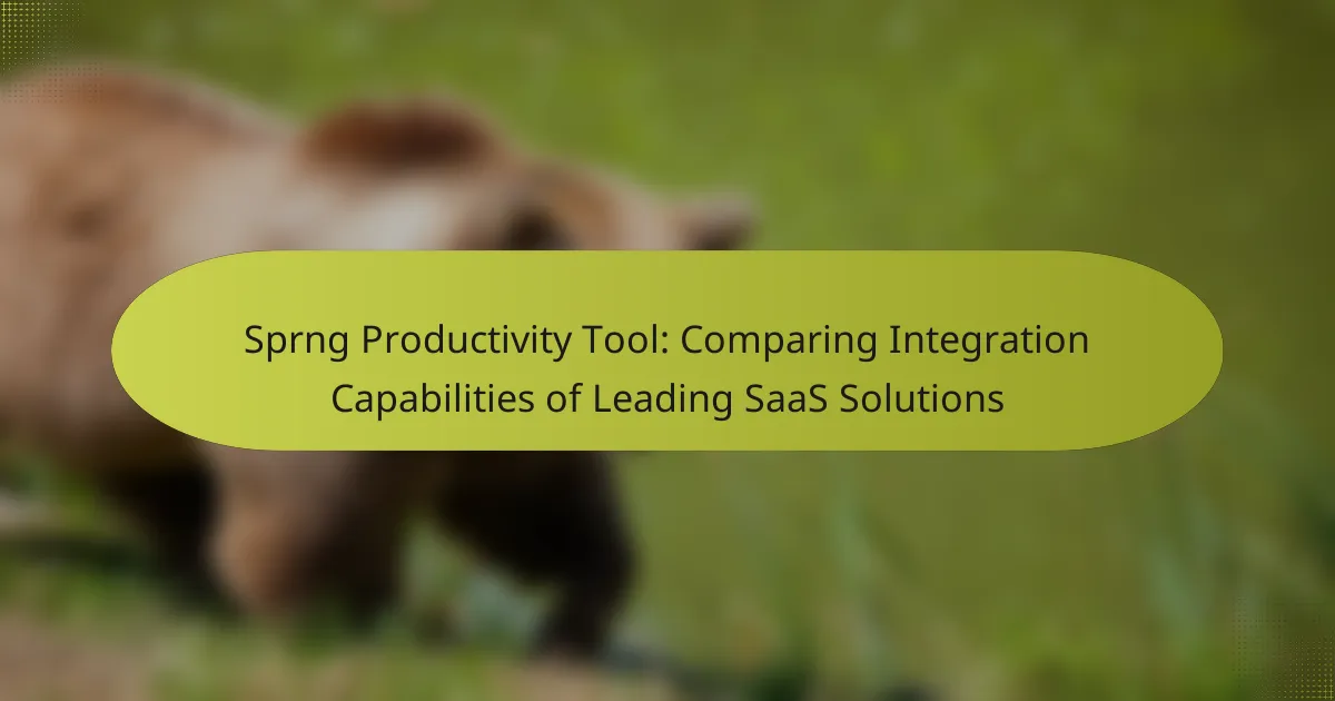 Sprng Productivity Tool: Comparing Integration Capabilities of Leading SaaS Solutions