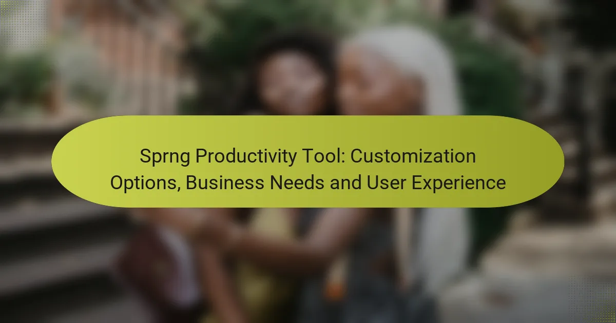 Sprng Productivity Tool: Customization Options, Business Needs and User Experience
