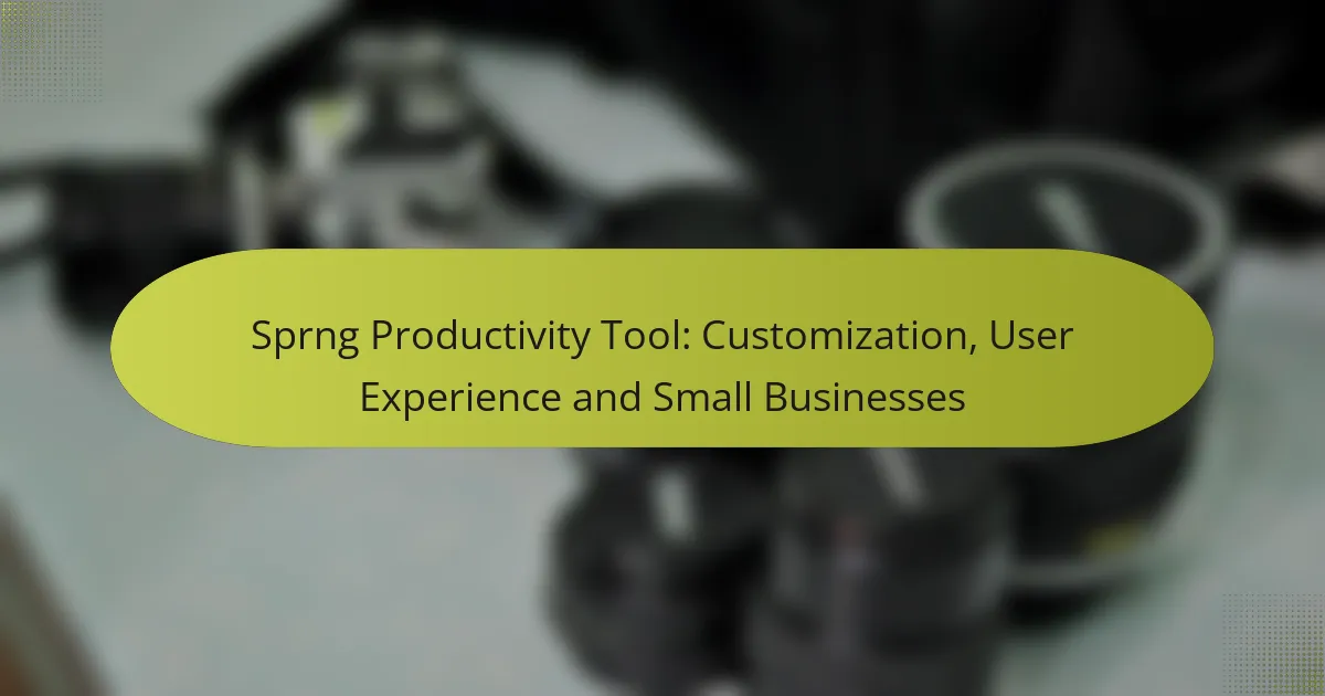 Sprng Productivity Tool: Customization, User Experience and Small Businesses