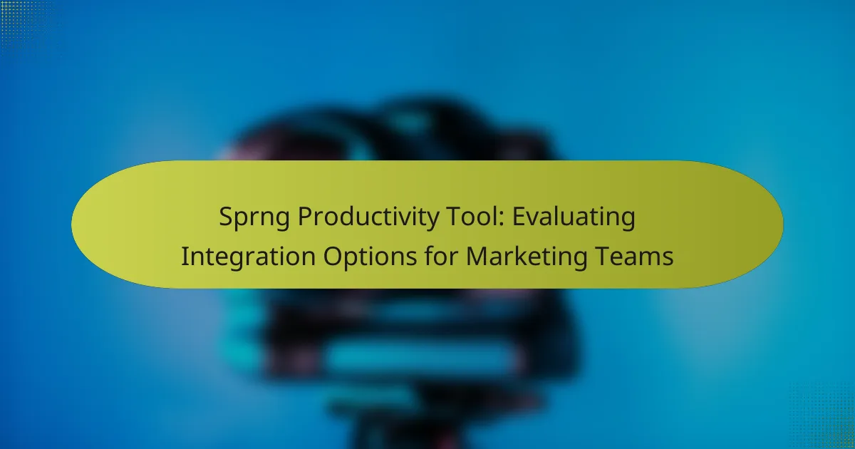 Sprng Productivity Tool: Evaluating Integration Options for Marketing Teams