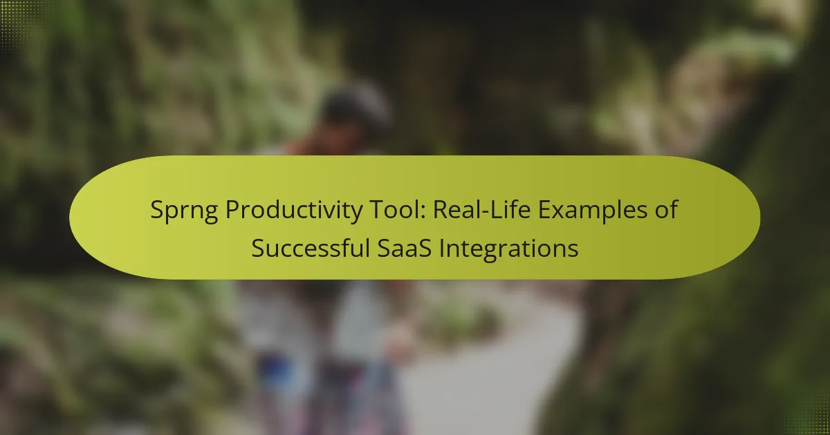 Sprng Productivity Tool: Real-Life Examples of Successful SaaS Integrations