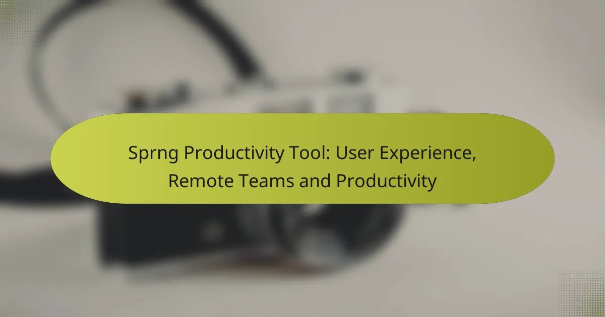 Sprng Productivity Tool: User Experience, Remote Teams and Productivity