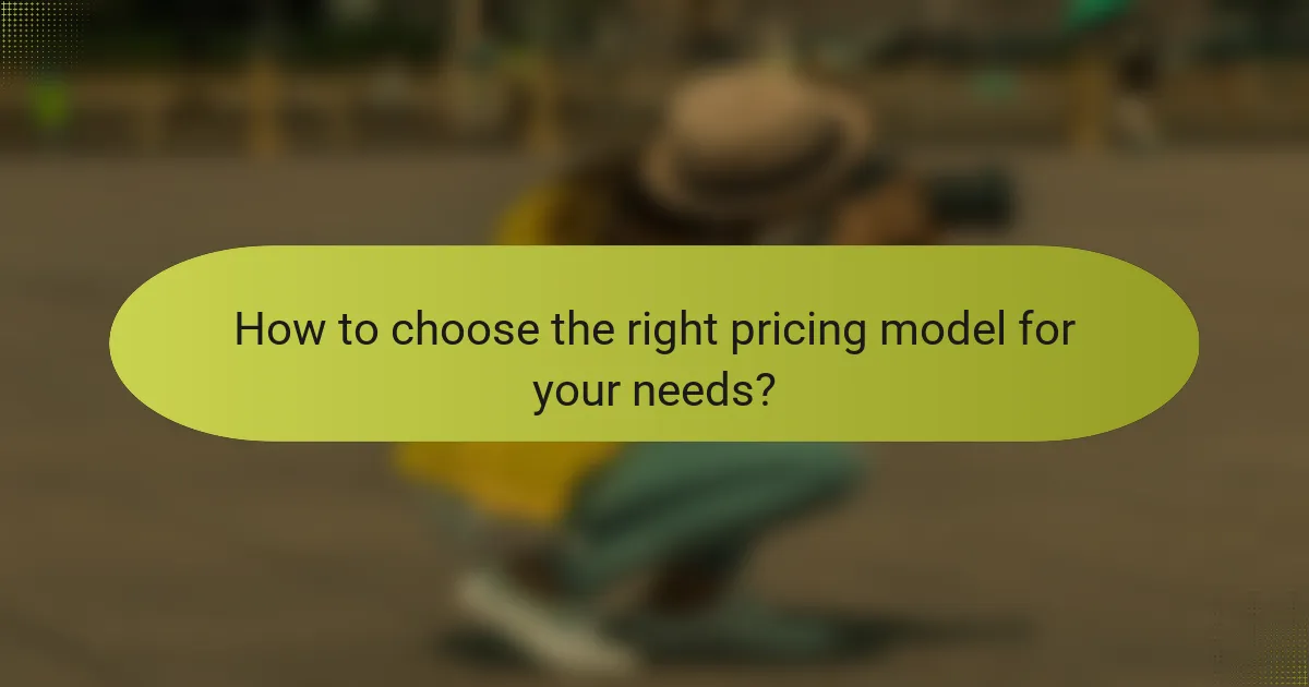 How to choose the right pricing model for your needs?
