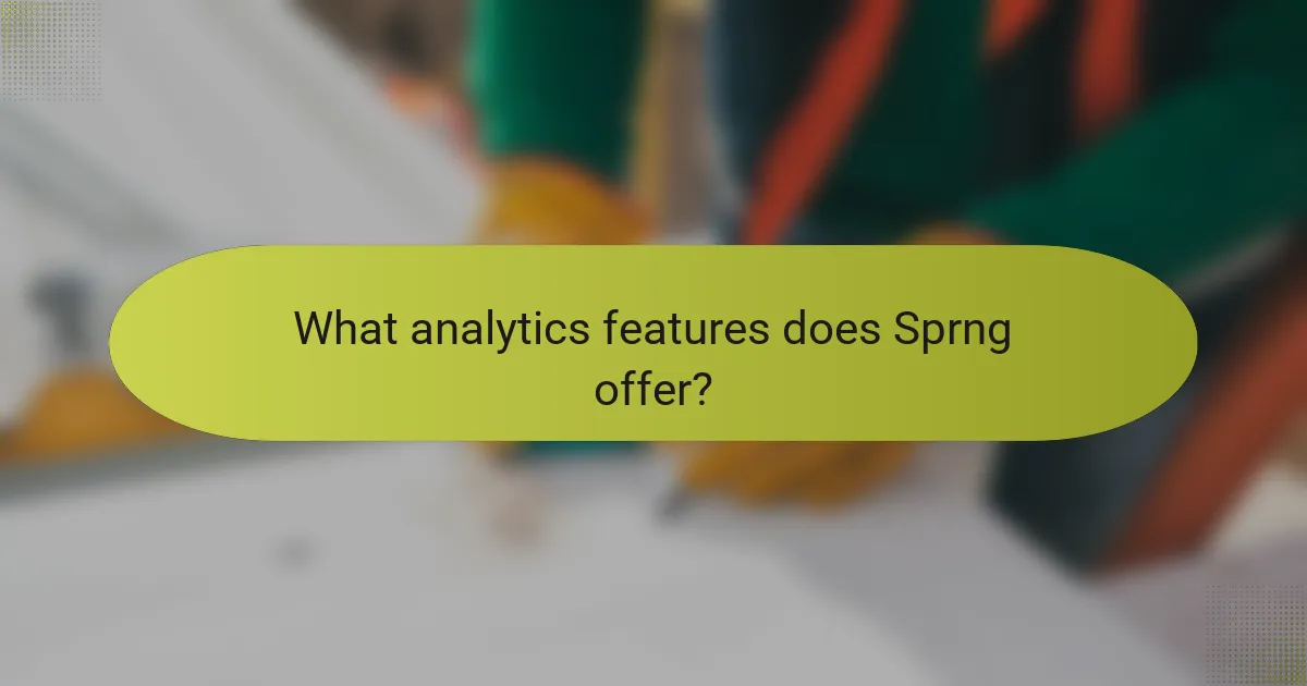 What analytics features does Sprng offer?
