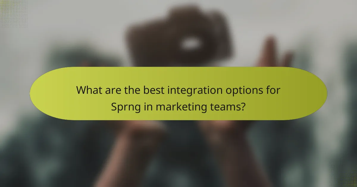 What are the best integration options for Sprng in marketing teams?