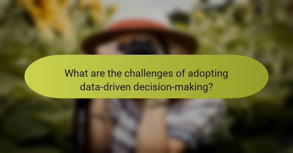 What are the challenges of adopting data-driven decision-making?