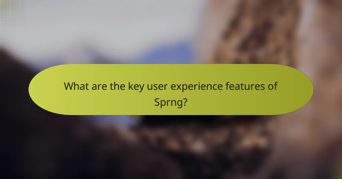 What are the key user experience features of Sprng?