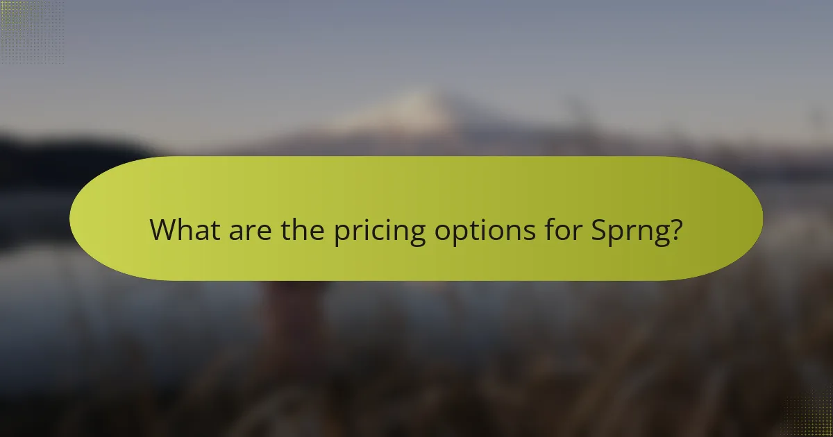 What are the pricing options for Sprng?