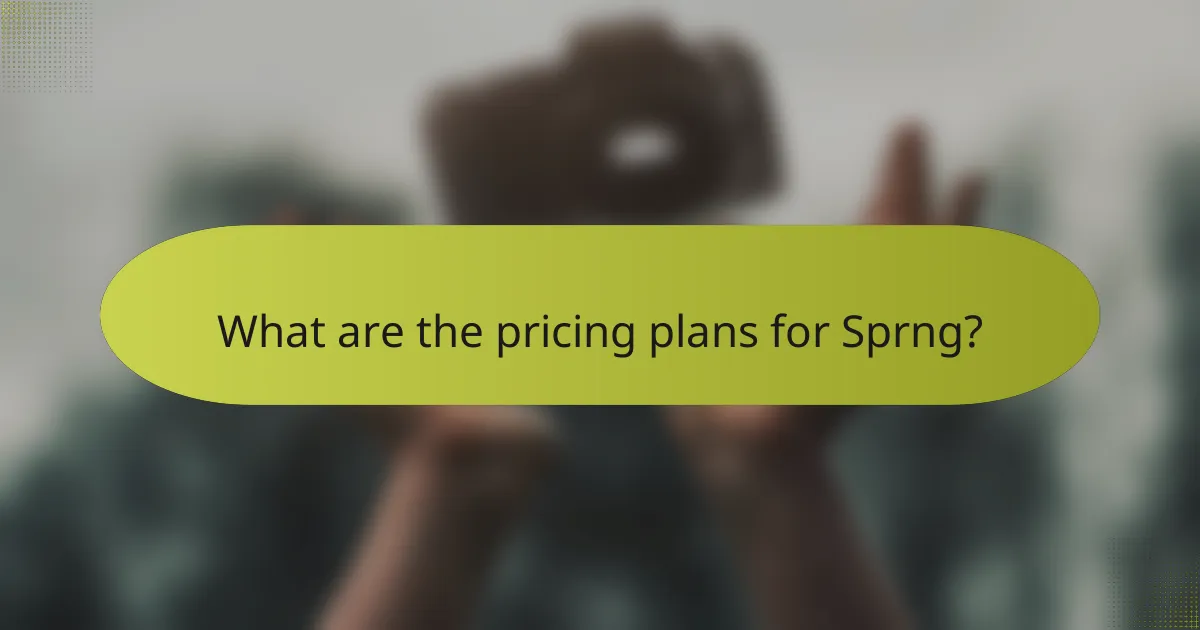 What are the pricing plans for Sprng?