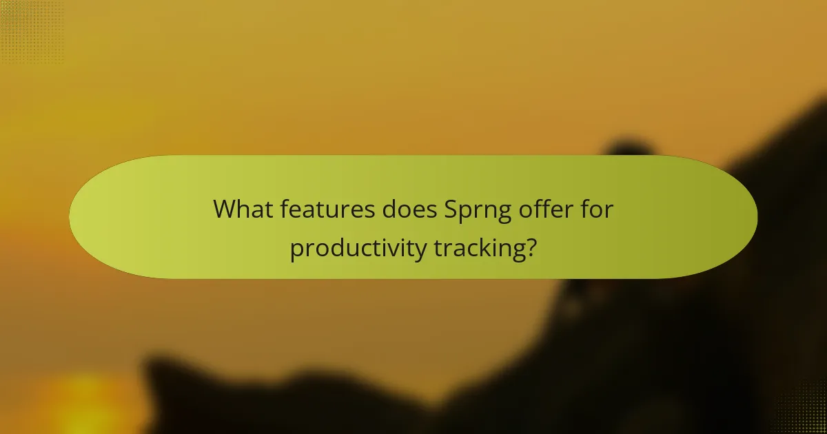 What features does Sprng offer for productivity tracking?