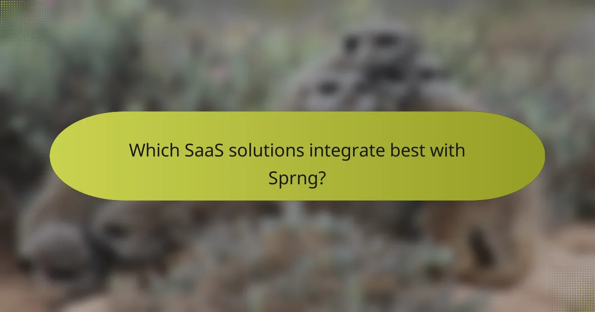 Which SaaS solutions integrate best with Sprng?